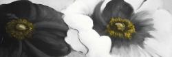 Assorted white flowers