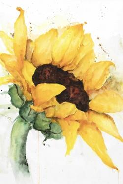 Watercolor sunflower with paint splash