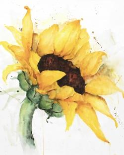 Watercolor sunflower with paint splash