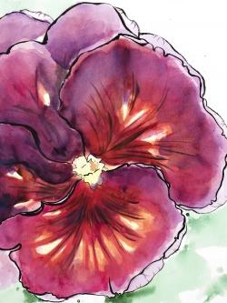 Blossoming orchid with wavy petals
