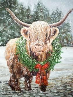 Highland christmas cow