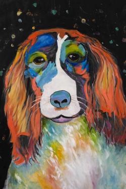 Colorful dog