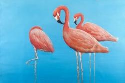 Group of flamingos