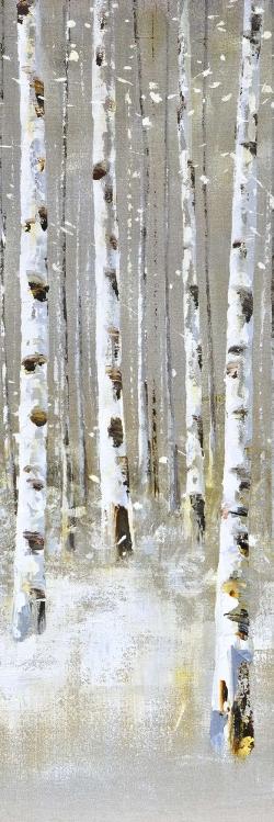 Forêt de bouleaux en hiver