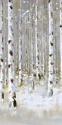 Birch forest by winter