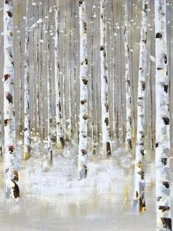 Forêt de bouleaux en hiver