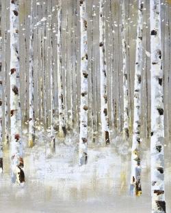 Forêt de bouleaux en hiver