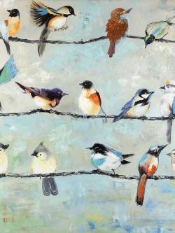 Small colorful birds