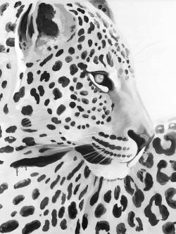 Beautiful leopard