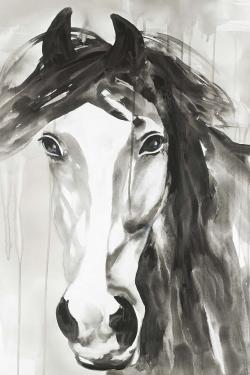 Magnifique cheval sauvage