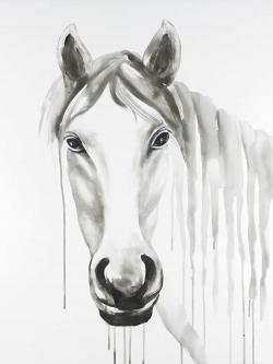 Solitary white horse