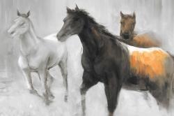 Abstract herd of horses