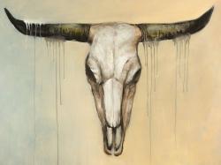 Bull skull