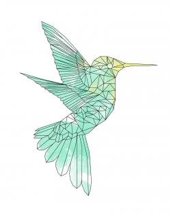 Geometric hummingbird