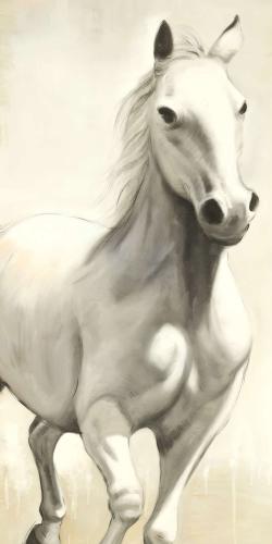 Gallant white horse