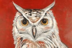 Colorful eagle owl