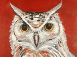 Colorful eagle owl
