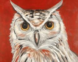 Colorful eagle owl