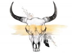 Cow skull with feather