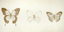 Butterflies sketch