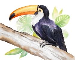 Toucan perched 
