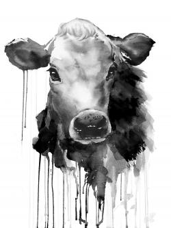 Vache jersey