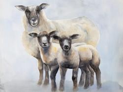 Sheep family