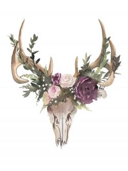 Deer skull with flowers