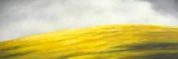 Yellow hill