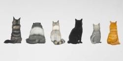 Six chats alignés vue de dos