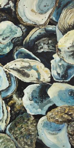 Coquilles d'huîtres