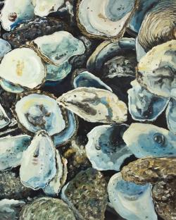 Coquilles d'huîtres