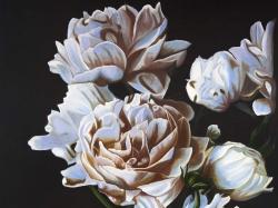Peonies