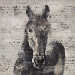 Cheval abstrait et typographie