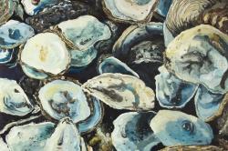 Coquilles d'huîtres