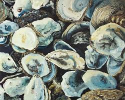 Coquilles d'huîtres