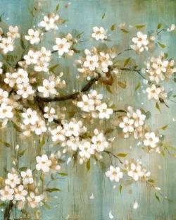 Cerisier blanc en fleurs
