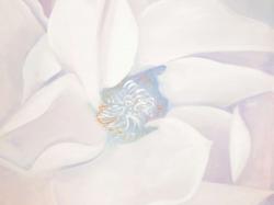 Delicacy