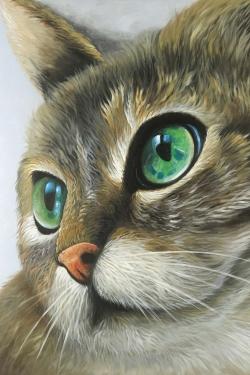 Peaceful cat portrait