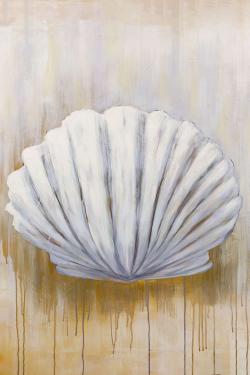 Feston shell