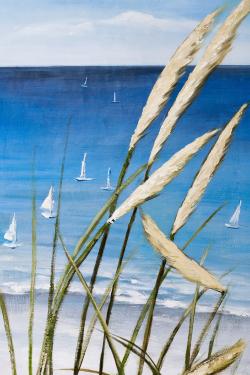 Oyat plant and seaside