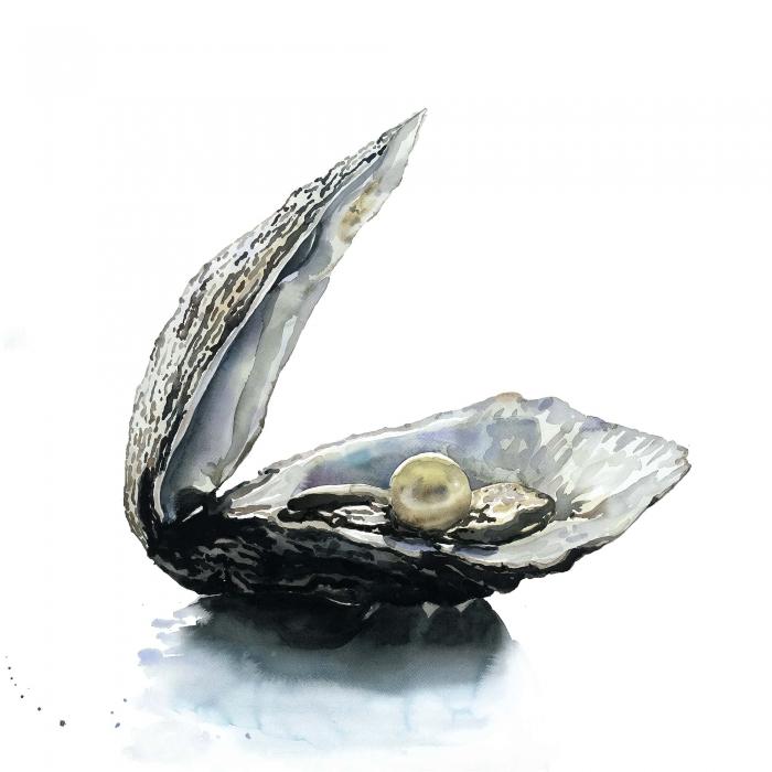 Pearl oyster