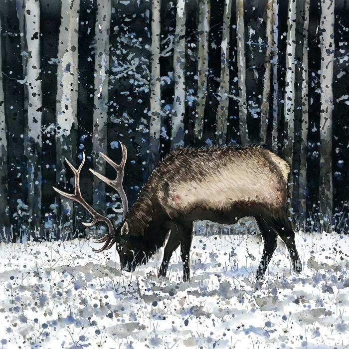Caribou dans la forêt d'hiver