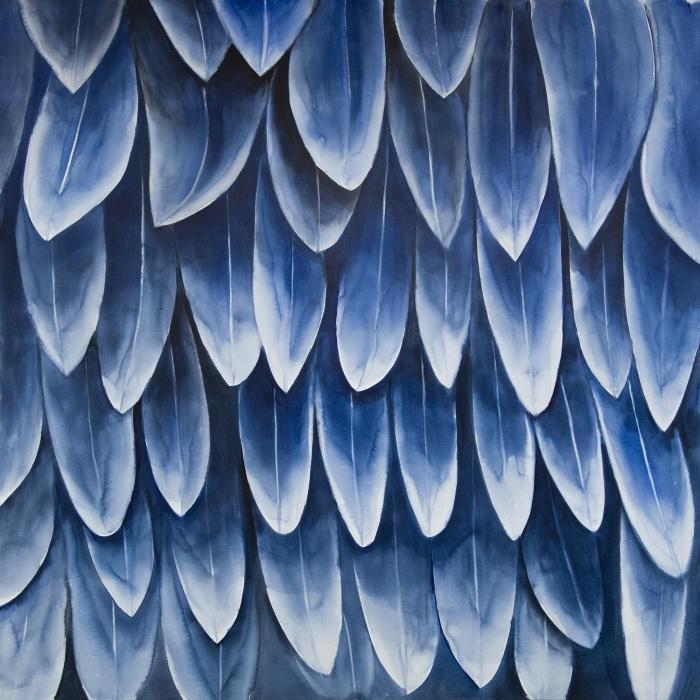 Plumage blue