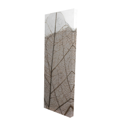 Feuilles séchées translucides
