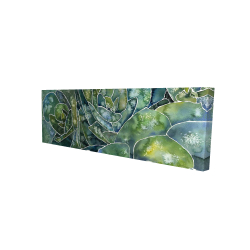 Succulents abstrait