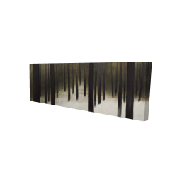 Forêt silencieuse