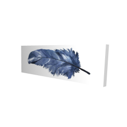 Blue feather