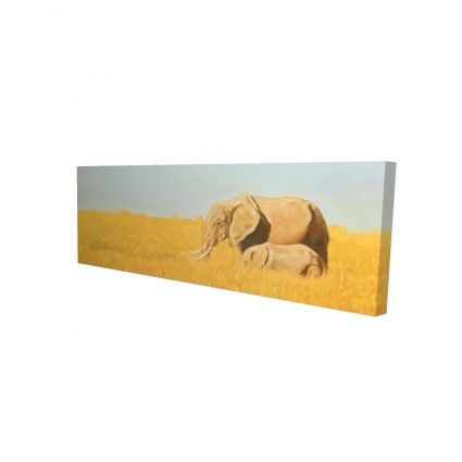 Elephant and its little one