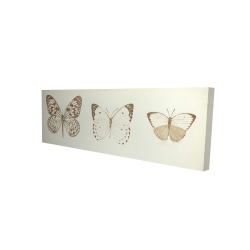 Sepia butterflies